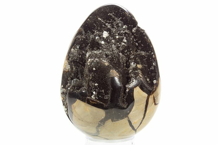 Septarian Dragon Egg Geode - Sparkly Black Crystals #329487